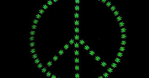 W Kolorado Spadła Przestępczość po Zalegalizowaniu Marihuany, kanabis.info